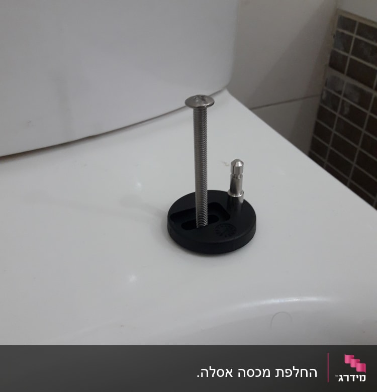 בורג מתכת על מכסה אסלה לבן